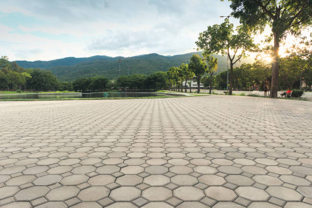 Best Concrete Paver Driveway  in Newstle, CA